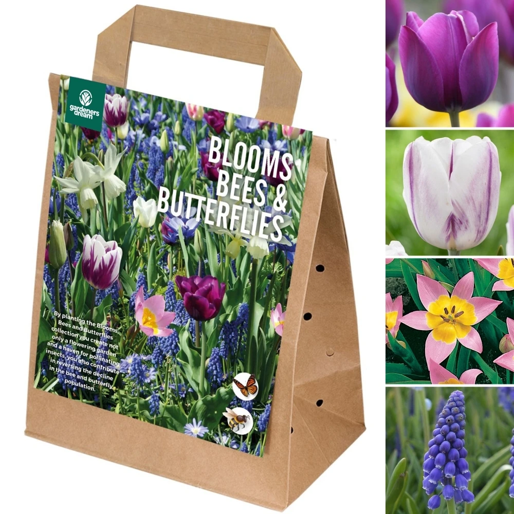 Blooms, Bees & Butterflies Bulb Mix - Blue Shades Mix (Pack Of 25) 1 Blooms, Bees & Butterflies Bulb Mix - Blue Shades Mix (Pack Of 25)