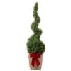 Box Spiral Topiary Tree In Festive Christmas Wrapping