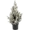 Christmas Tree - Picea Conica With Snow Effect