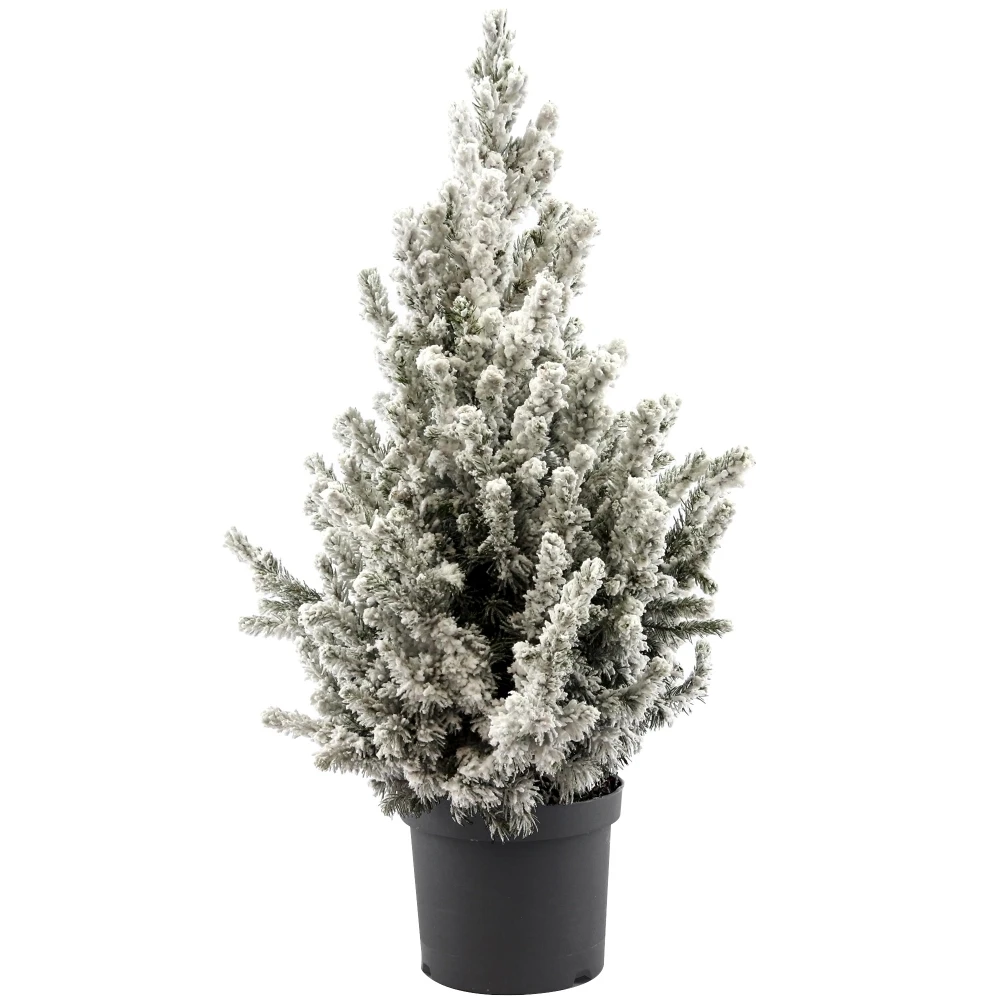 Christmas Tree - Picea Conica With Snow Effect 1 Christmas Tree - Picea Conica With Snow Effect
