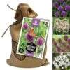 Flower Bulb Mix - Bee & Butterfly Friendly Collections (Pack Of 75)