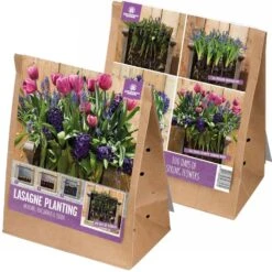 Lasagne Planting Bulb Mix - Pink And Blue (Pack Of 40)