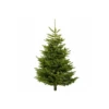 Nordmann Fir Fresh Cut Christmas Trees