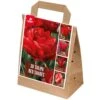 Shades Of Colour Bulb Mix - Tulip Red Shades (Pack Of 30)