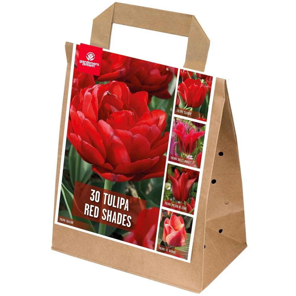 Shades Of Colour Bulb Mix - Tulip Red Shades (Pack Of 30) 1 Shades Of Colour Bulb Mix - Tulip Red Shades (Pack Of 30)