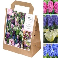 Spring Bulbs Collection - Fragrant Flowers
